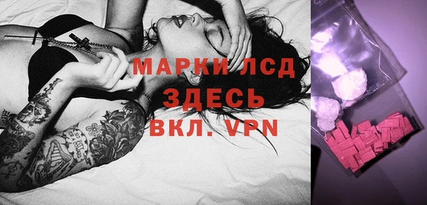 spice Аркадак