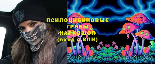 spice Аркадак