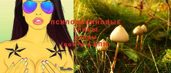 Альфа ПВП Балабаново