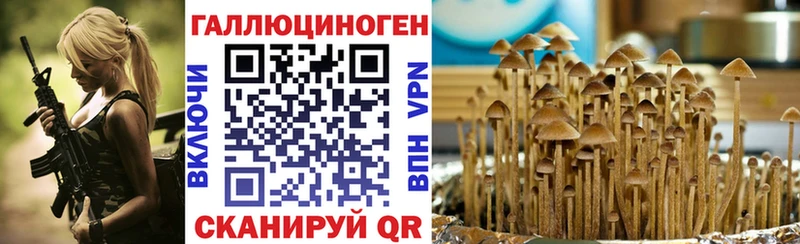 Псилоцибиновые грибы GOLDEN TEACHER Ишим